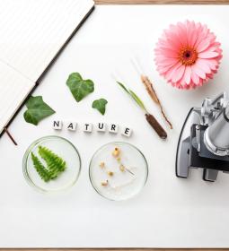 Best universities in Biology in Russia 2026 Rankings