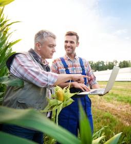 Best universities in Agriculture in Russia 2025 Rankings