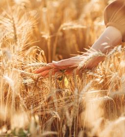 TOP-100 Best Universities in Agriculture 2025 QS Rankings