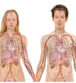 TOP-100 Best Universities in Anatomy and Physiology 2025 QS Rankings