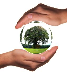 TOP-100 best universities in ecology 2025 QS Rankings