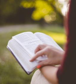 TOP-7 unique Master's courses, which have no analogues in the world