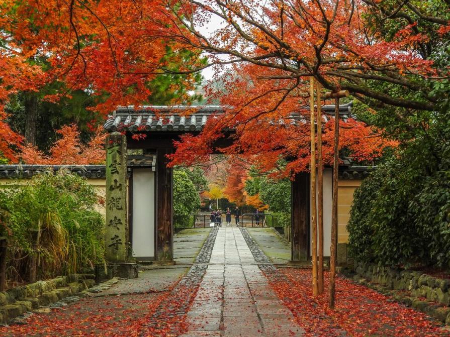 Differences between the two Japanese capitals: modern Tokyo and ancient Kyoto