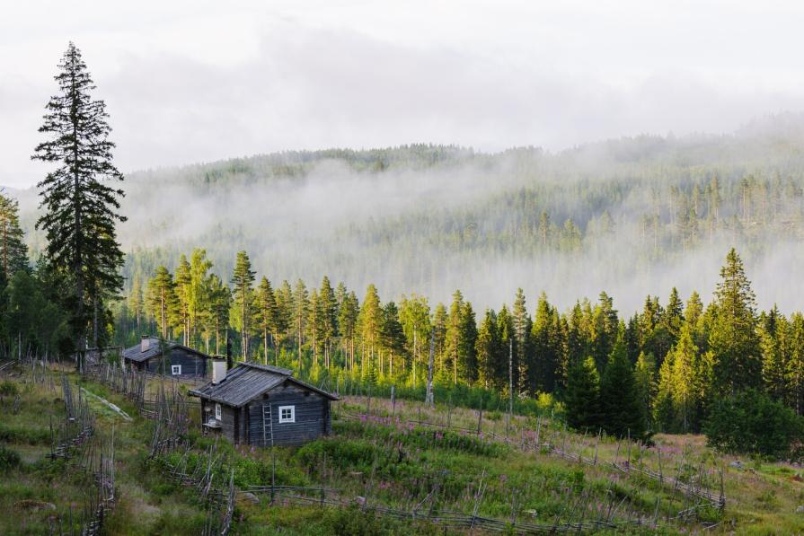 Everything you need to know about ecotourism in Russia
