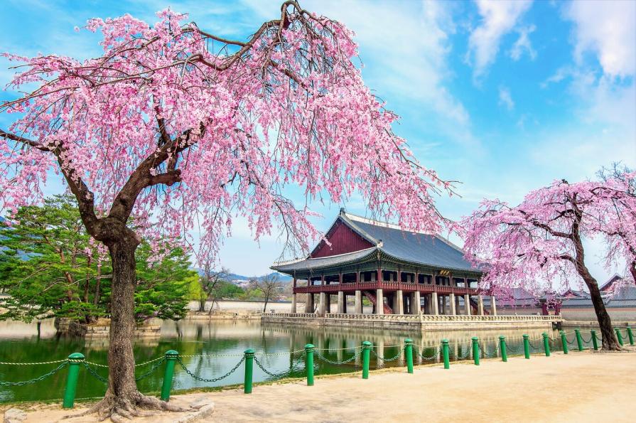 Main features of studying at universities in distant and exotic countries
