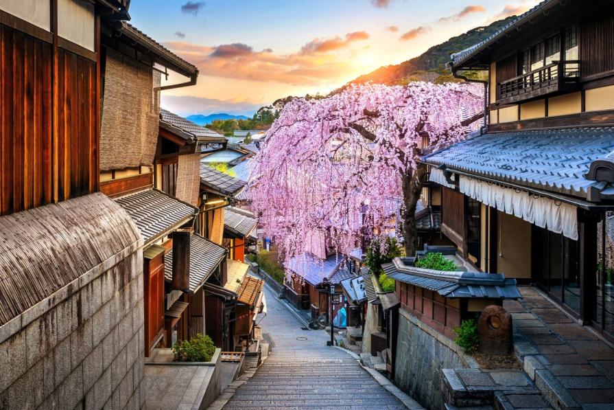 TOP-9 difficulties that await tourists in Japan