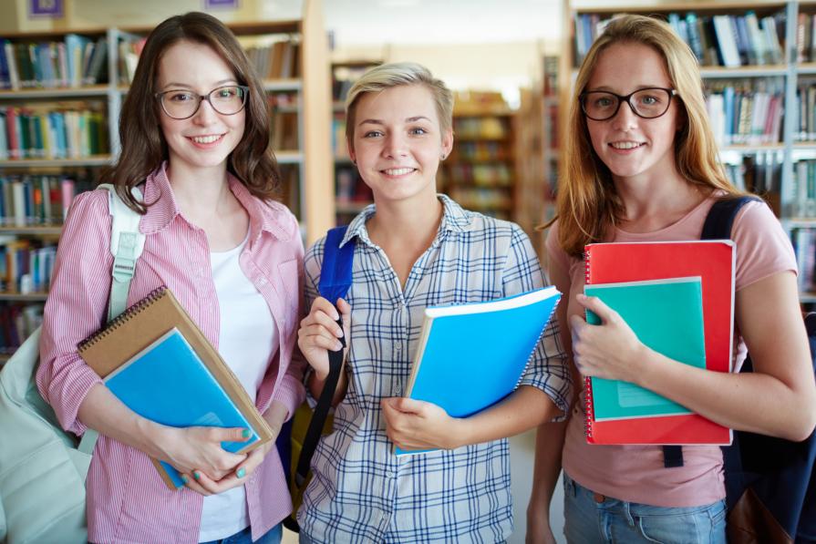 TOP-6 differences between higher education in USA and UK