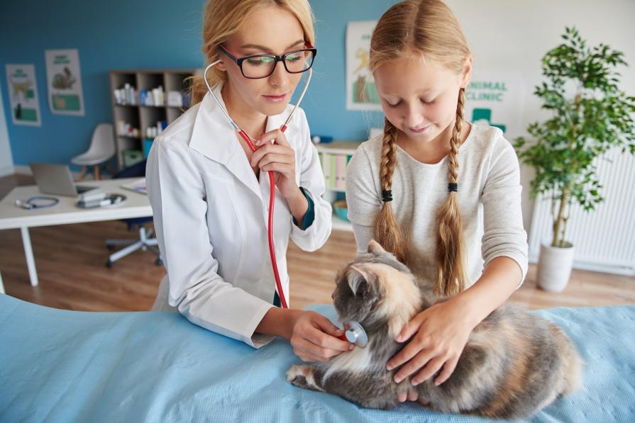 Best Veterinary Universities in Canada 2025 – QS World University Rankings