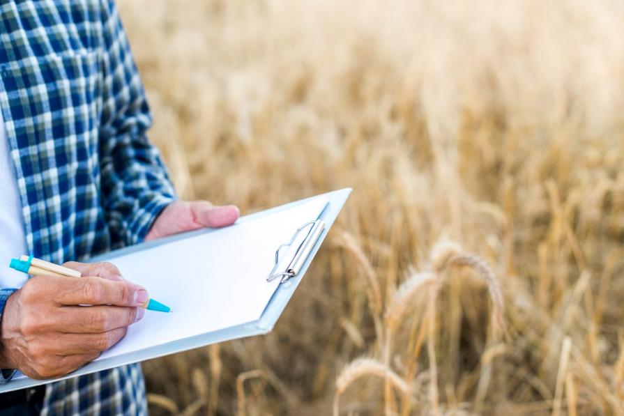TOP-100 Best Universities in Agriculture 2025 QS Rankings