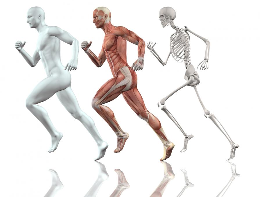 TOP-100 Best Universities in Anatomy and Physiology 2025 QS Rankings