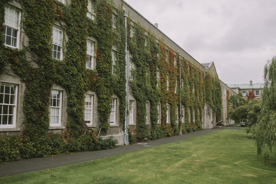 Why is it necessary to enter the universities of the Ivy League in the post-pandemic era?