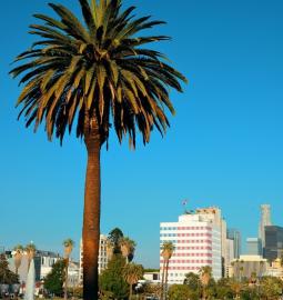 7 Amazing and Unique Cities in the World