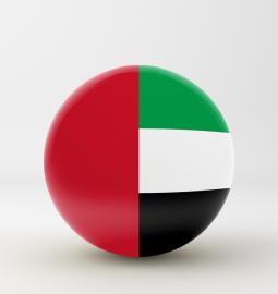 Flag of the UAE: history of unified flag
