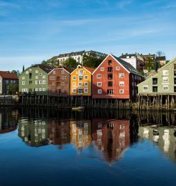 Why are curtains banned on windows in Sweden?