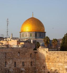 How to travel to Israel now: new entry procedure