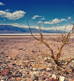 The driest place on Earth: where is it?