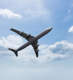 What food is allowed on the plane?