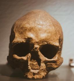 Best Universities in Europe for Anthropology 2025 - QS World University Rankings