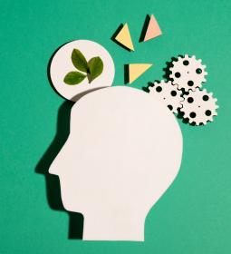TOP Universities in Europe for Psychology 2025 - QS World University Rankings