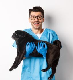 Best Veterinary Universities in Europe 2025 – QS World University Rankings