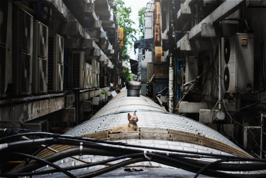 How abandoned factories in Russia get a new life: design projects
