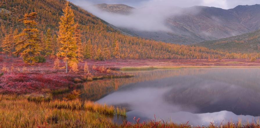 History of Jack London Lake in Russia