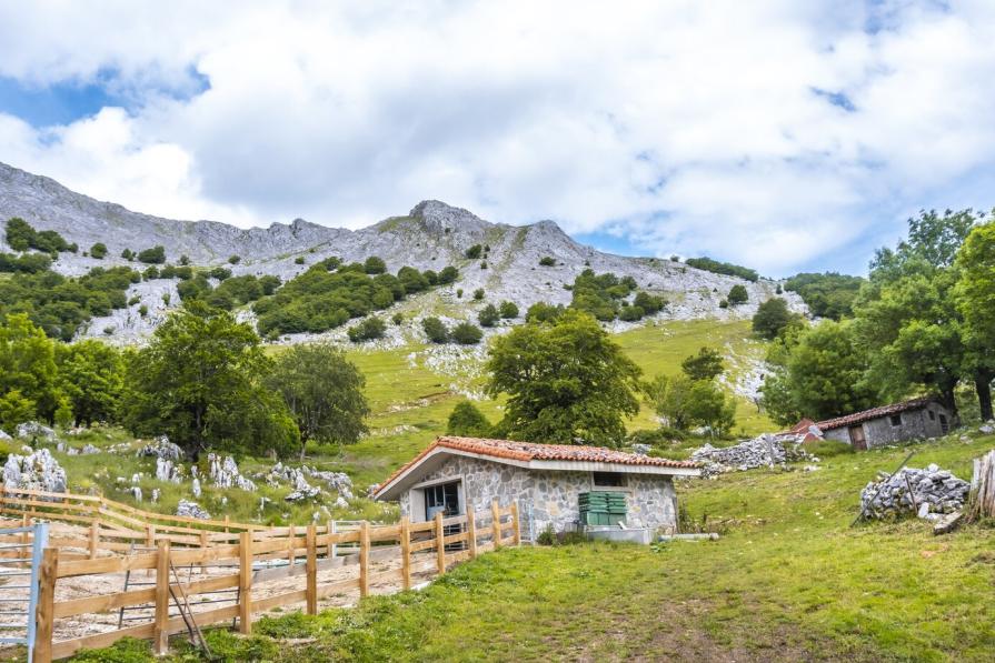 Sukhum and other charms of Abkhazia