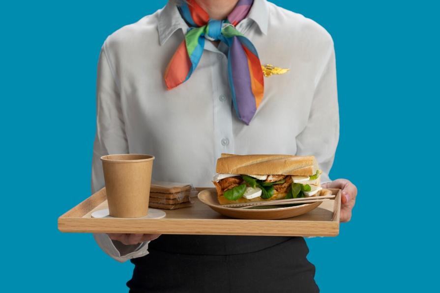 What food is allowed on the plane?