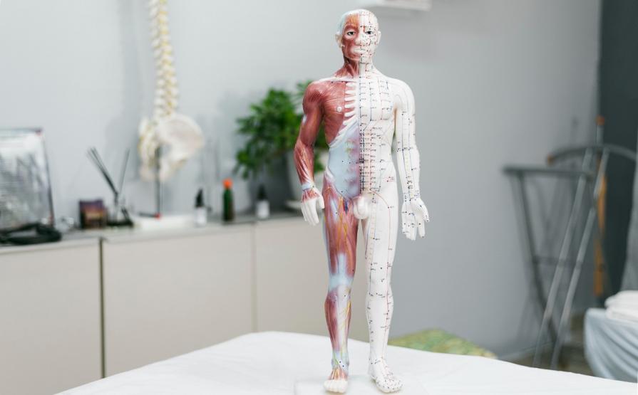 Best Anatomy & Physiology Universities in Canada 2025 – QS World University Rankings