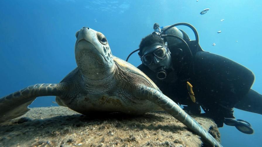 Best Universities in Europe for Earth & Marine Sciences 2025 - QS World University Rankings