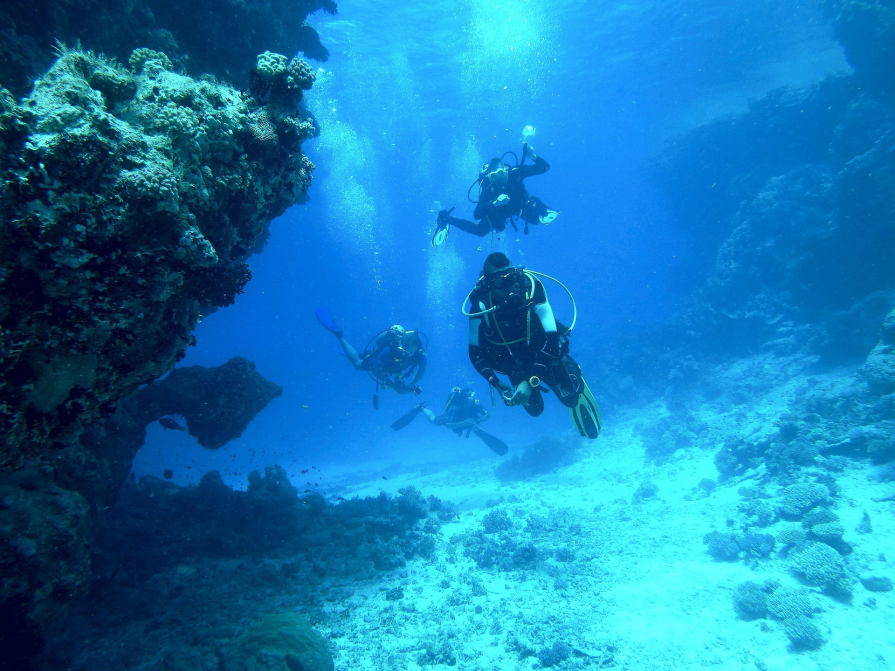 TOP Universities in Geonomy and Oceanology in Canada 2025 – QS World University Rankings