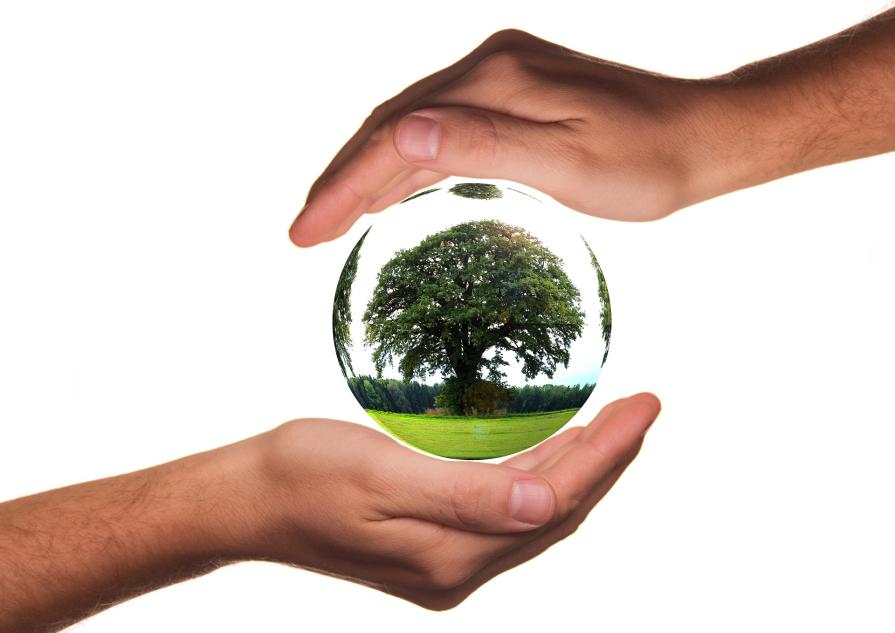 Study Ecology and Nature in the United States
