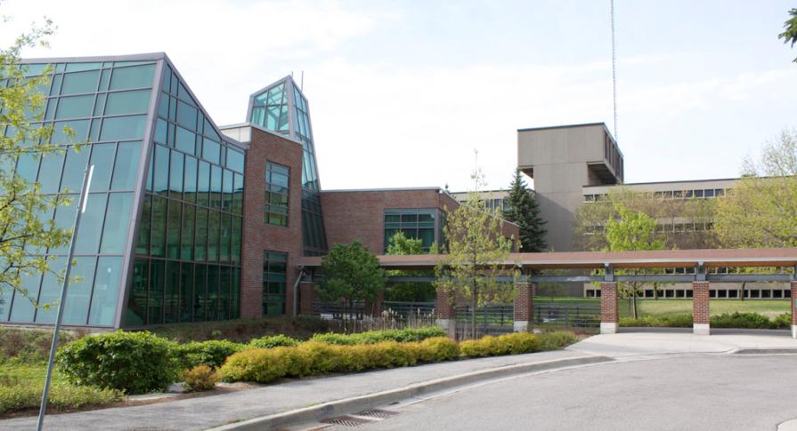 Best Universities in Toronto 2025 Ranking