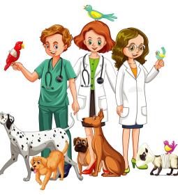 TOP UK University Rankings for Veterinary Medicine 2025