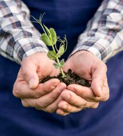 Best Universities for Agriculture and Forestry Studies in USA 2025 - QS World University Rankings