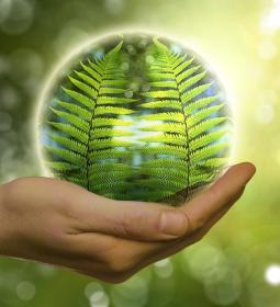 Best Universities in Europe for Environmental Studies 2025 - QS World University Rankings