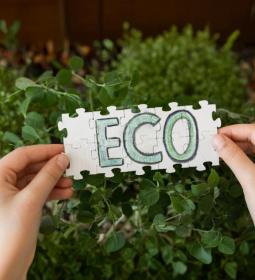 Best USA University Ranking for Environmental Sciences 2025 - QS World University Rankings