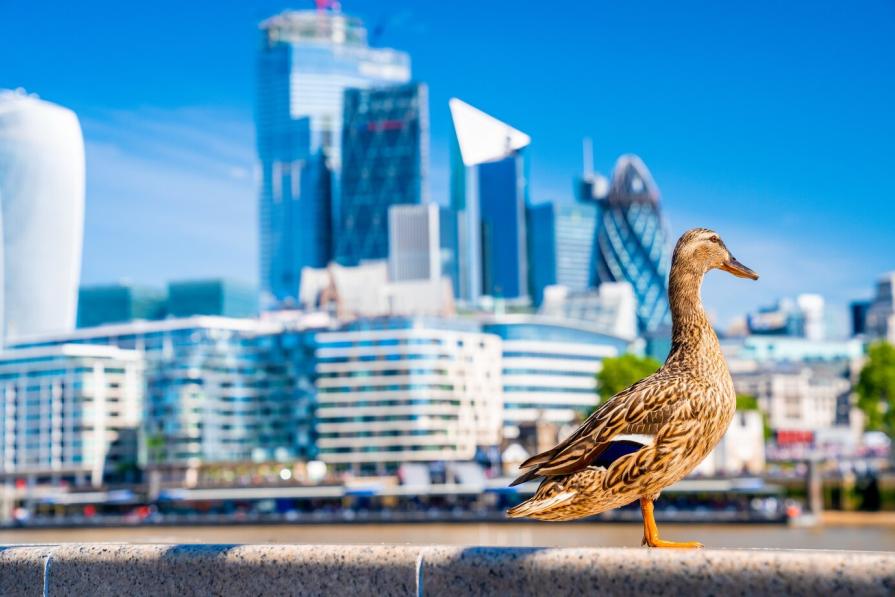 Popular and little-known attractions in Dubai