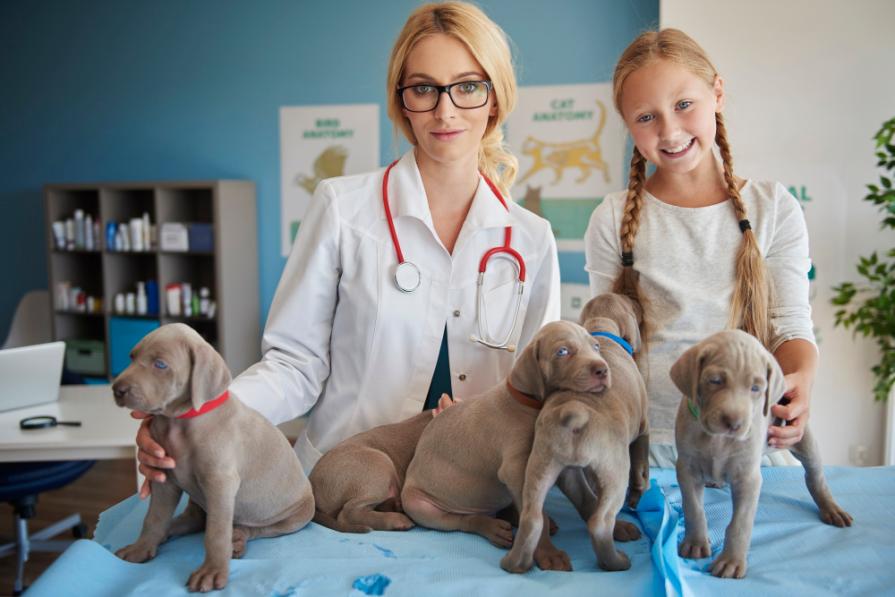 TOP UK University Rankings for Veterinary Medicine 2025