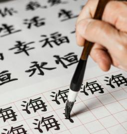 Why do the Chinese still use hieroglyphs instead of inventing a convenient alphabet?