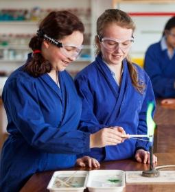 TOP-11 best private schools in Brighton 2025