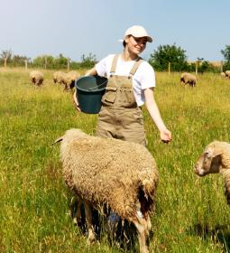TOP UK Agricultural Universities 2025 | Complete University Guide