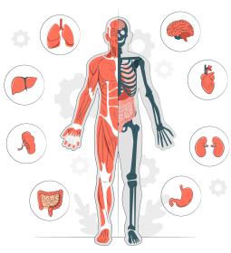 TOP UK Universities with Anatomy and Physiology studies 2025 | Complete University Guide