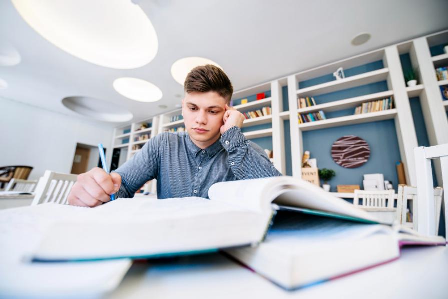 Study in Tampa: primary, secondary, higher education