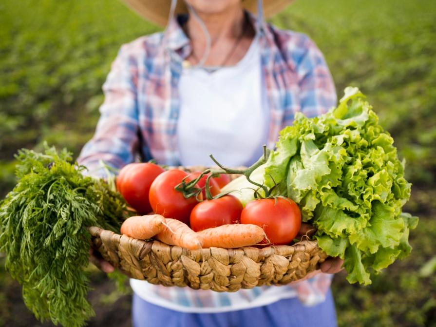 Studying Agriculture in Australia for foreign students