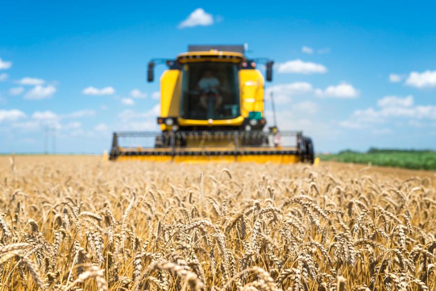 Studying agriculture in Sweden for foreign students
