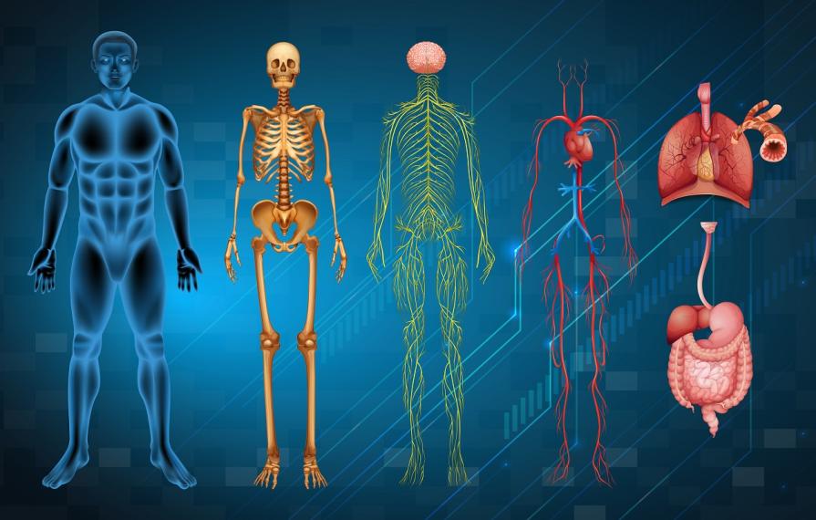 TOP UK Universities with Anatomy and Physiology studies 2025 | Complete University Guide