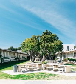 Best schools in America for international students