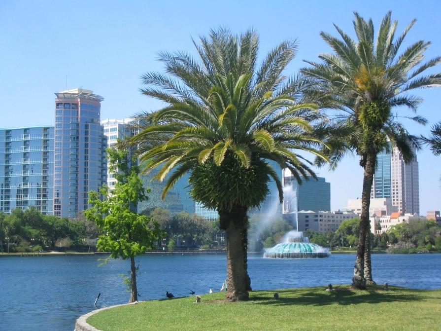 Study in Orlando: primary, secondary, higher education
