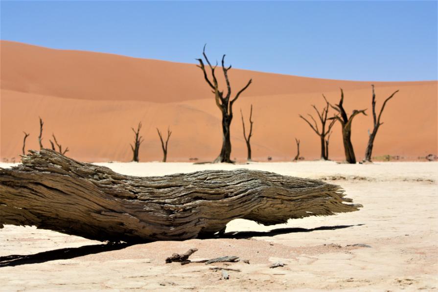 TOP-5 driest places on Earth